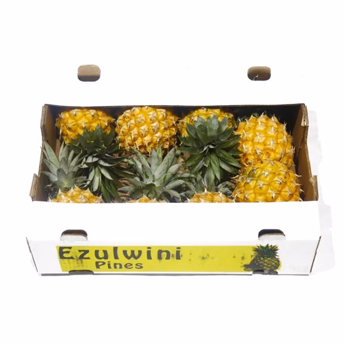 Baby Pineapple 4kg RSA